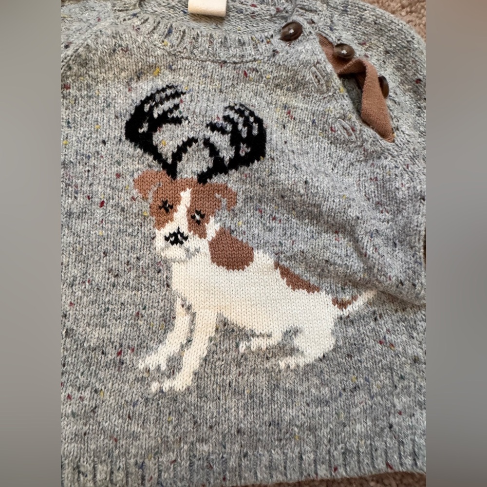 Holiday Sweater Dog and Antlers